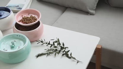 Real Staples Ceramic Pet Fountain Video