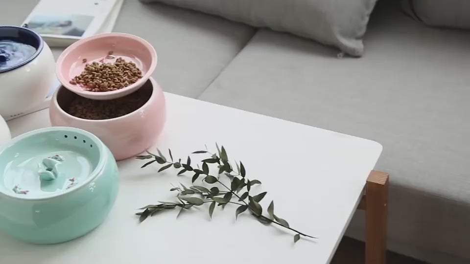 Real Staples Ceramic Pet Fountain Video